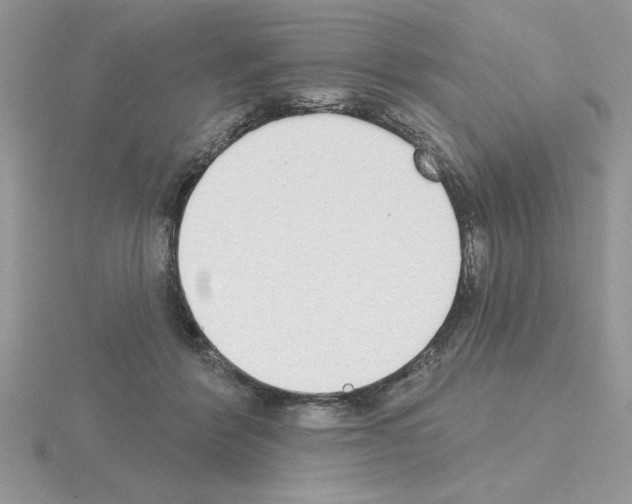 X0000115420412200912151607