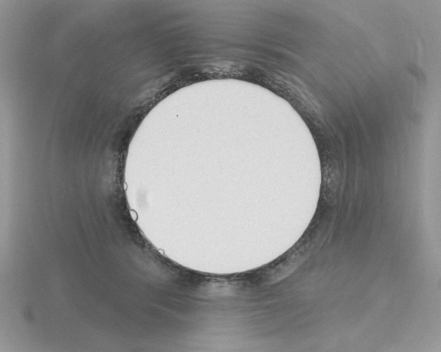 X0000115420416200912151607