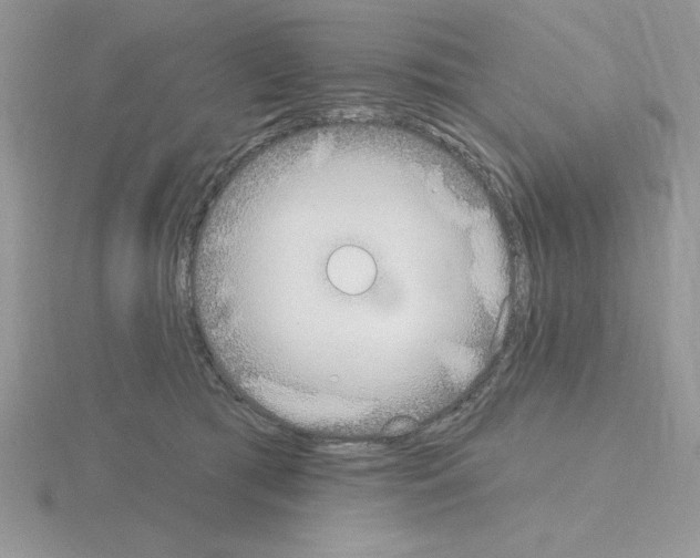 X0000115420417200912151607