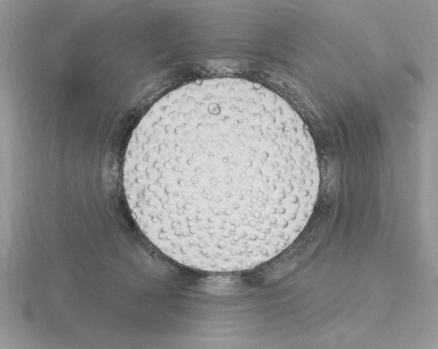 X0000115420418200912151607