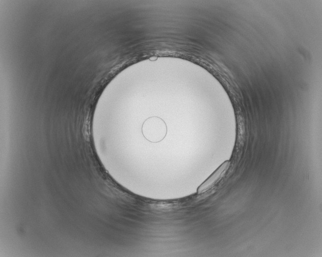 X0000115420419200912151607