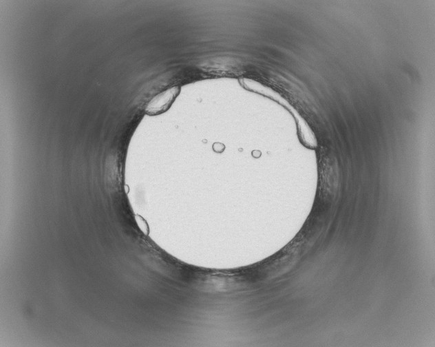 X0000115420420200912151607