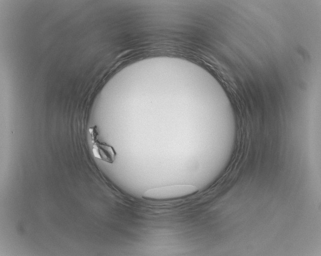X0000115420421200912151607