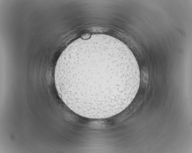 X0000115420422200912151607