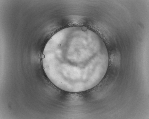 X0000115420423200912151607