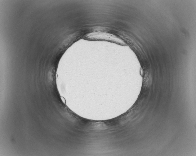 X0000115420424200912151607