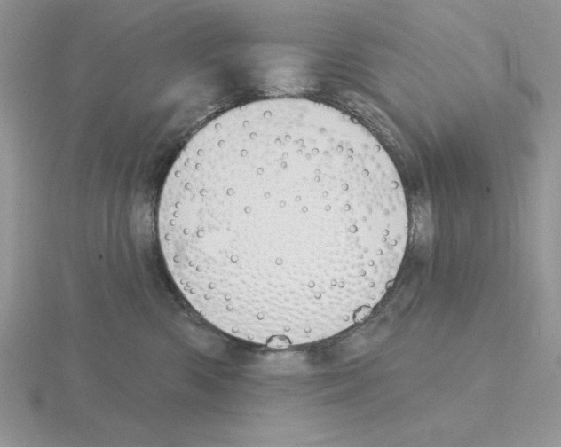 X0000115420426200912151607