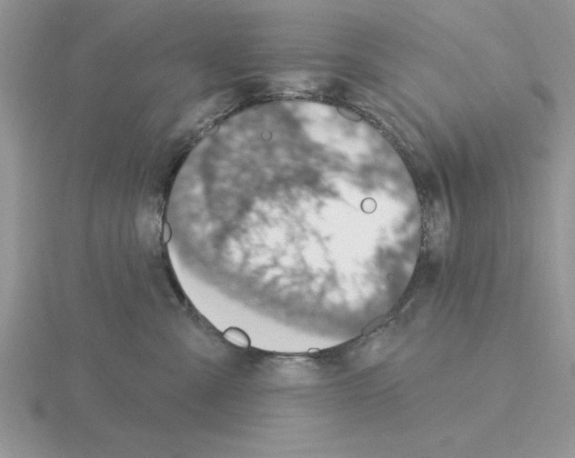 X0000115420427200912151607