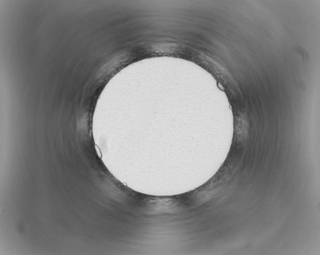 X0000115420428200912151607