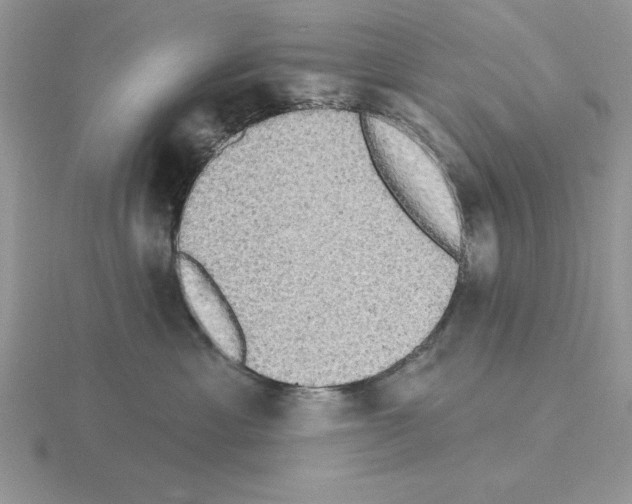 X0000115420429200912151607