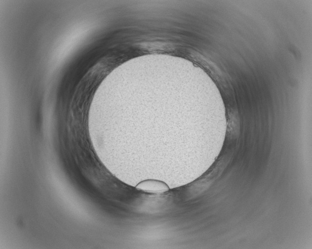 X0000115420430200912151607