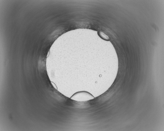 X0000115420432200912151607