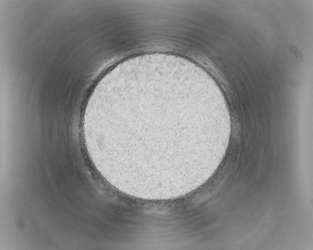 X0000115420434200912151606