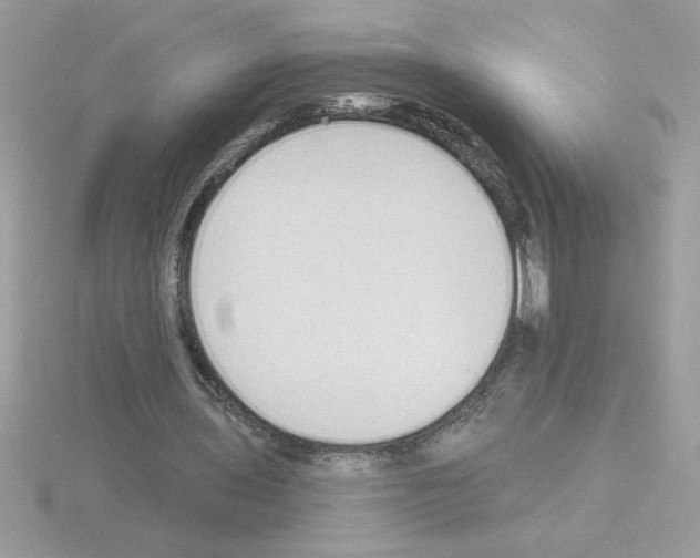 X0000115420435200912151606