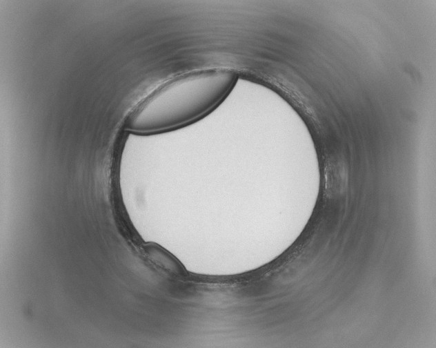 X0000115420436200912151606