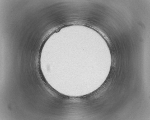 X0000115420437200912151606
