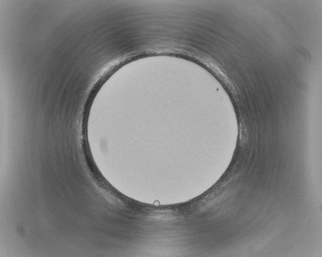 X0000115420438200912151606