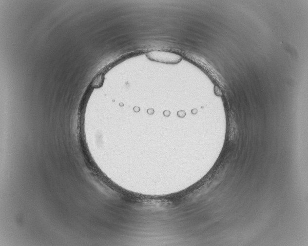 X0000115420439200912151606