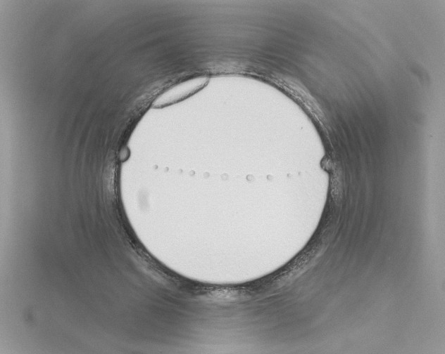 X0000115420441200912151606