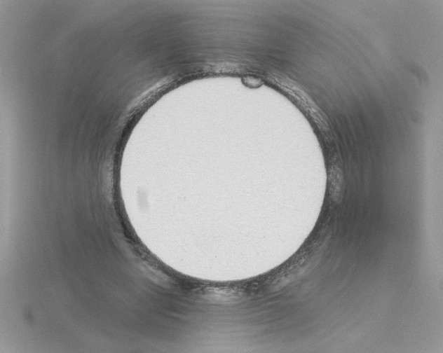 X0000115420442200912151606