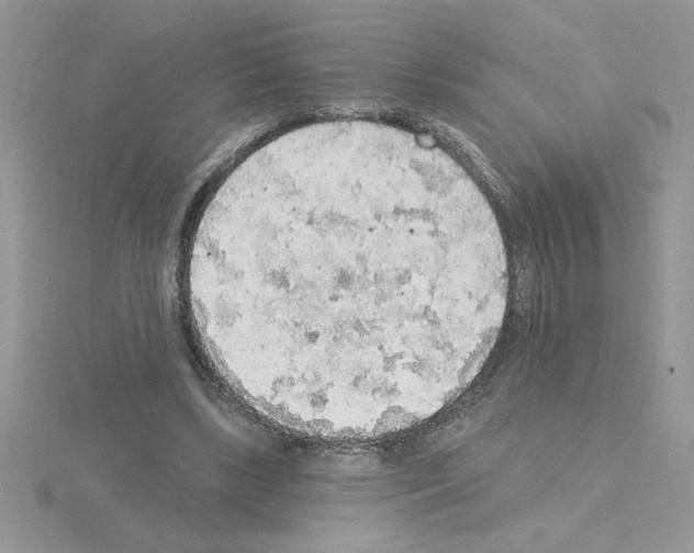 X0000115420443200912151607