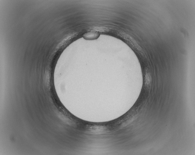 X0000115420444200912151607