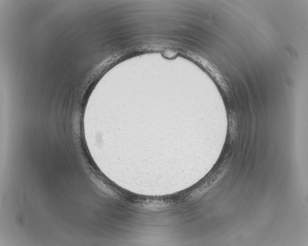 X0000115420445200912151607