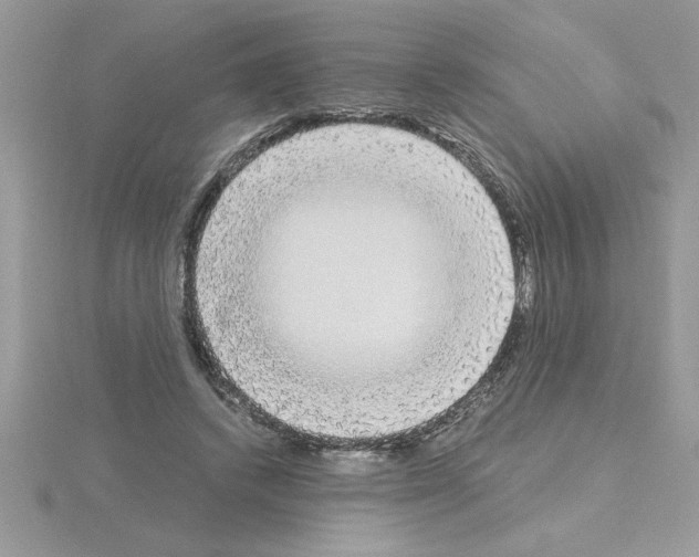 X0000115420448200912151607