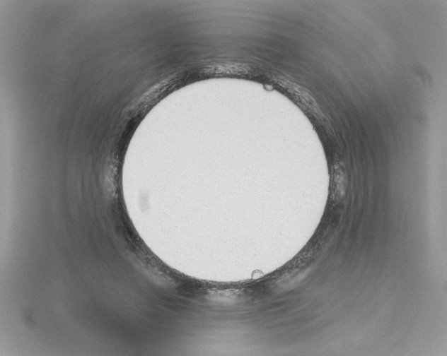 X0000115420450200912151607