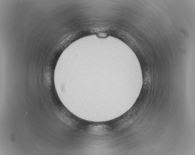 X0000115420452200912151607