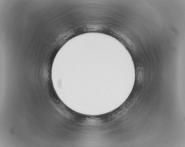 X0000115420455200912151607