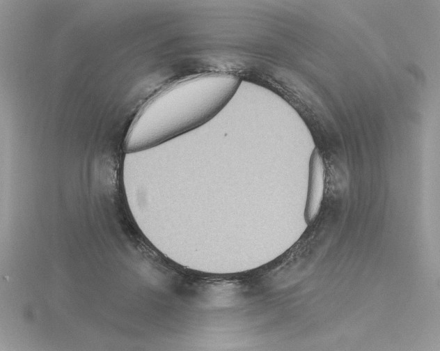 X0000115420456200912151607