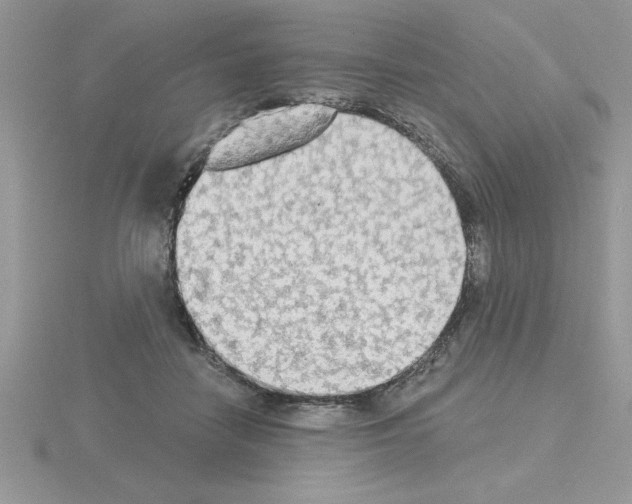 X0000115420458200912151607