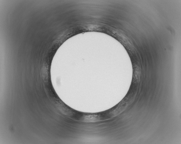 X0000115420461200912151607