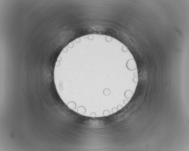 X0000115420464200912151607
