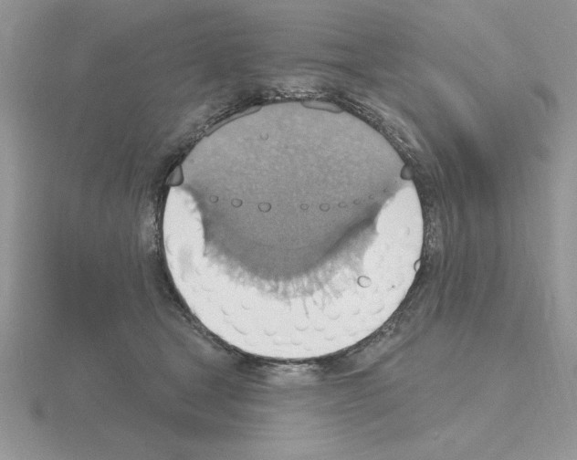 X0000115420465200912151607