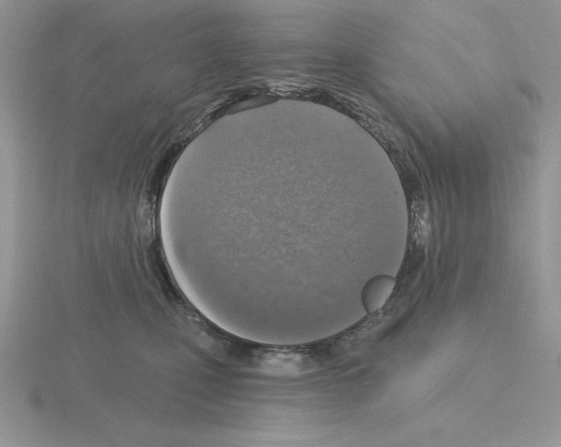 X0000115420471200912151607