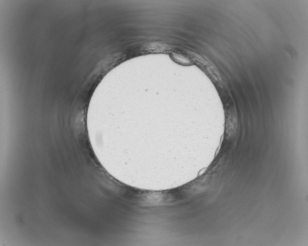 X0000115420473200912151607