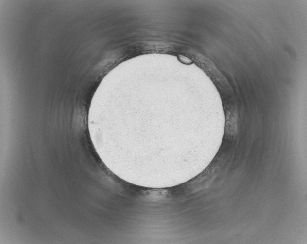X0000115420474200912151607
