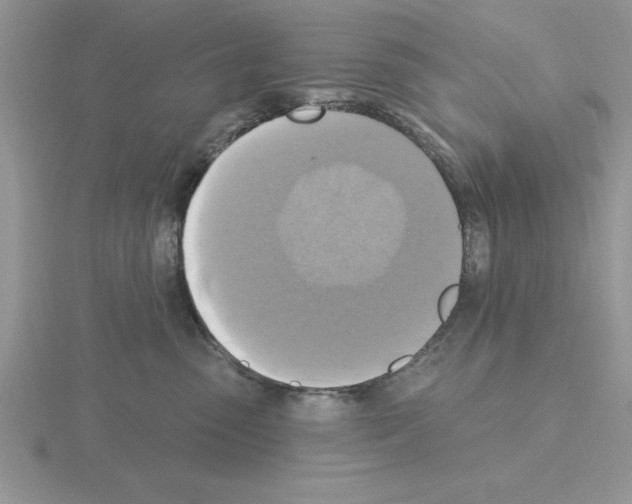 X0000115420475200912151607