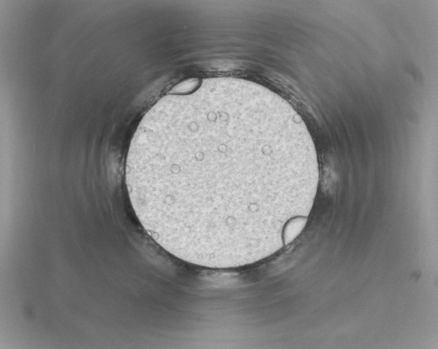 X0000115420476200912151607