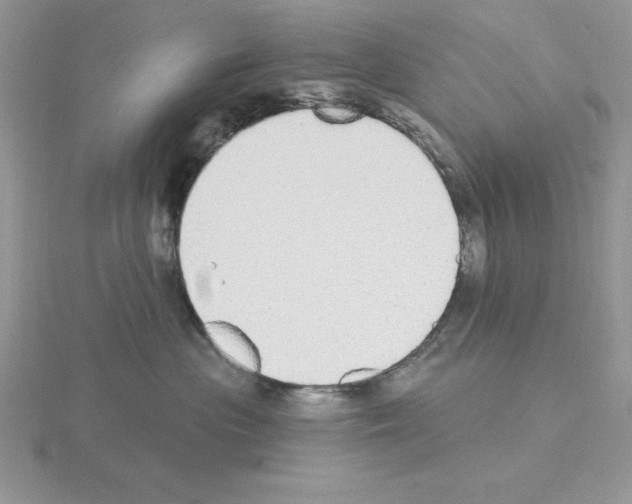 X0000115420477200912151607