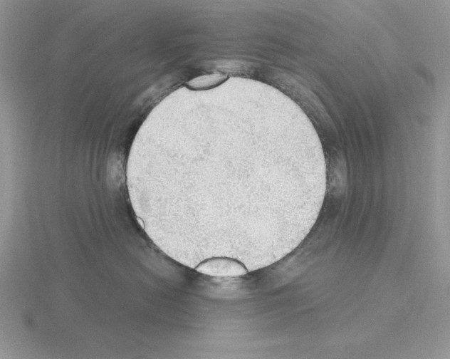 X0000115420478200912151607