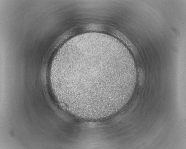 X0000115420482200912151606
