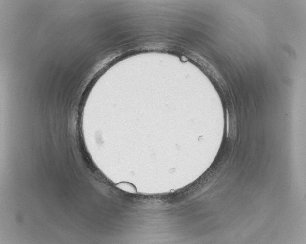 X0000115420483200912151606