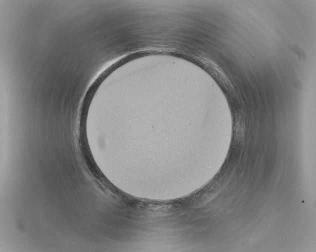 X0000115420484200912151606