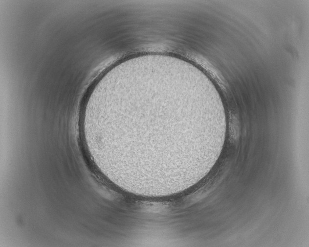 X0000115420486200912151606