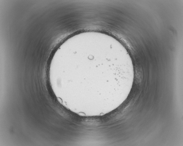 X0000115420487200912151606