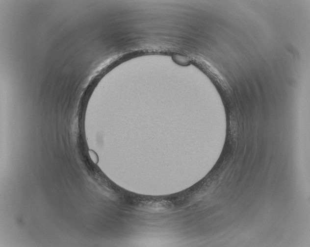 X0000115420488200912151606