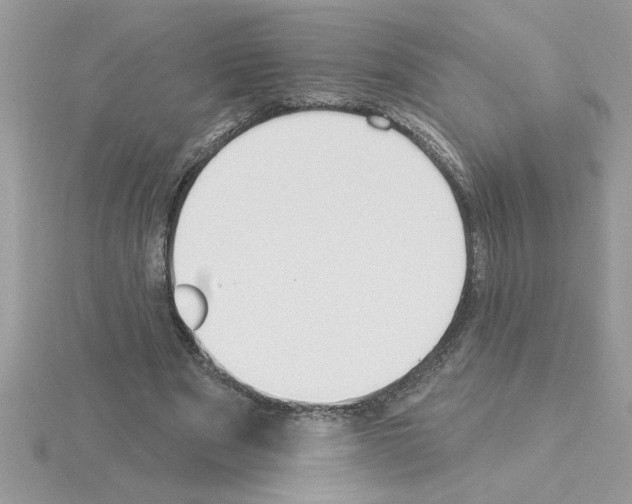 X0000115420489200912151606